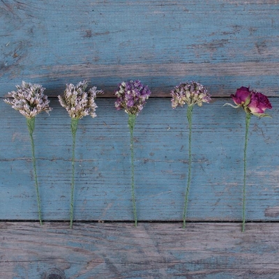 Pinks Dried Flower Wired Stems Set of 5