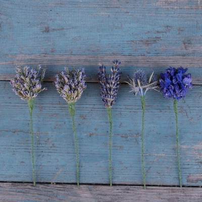 Purple Dried Flower Wired Stems Set of 5