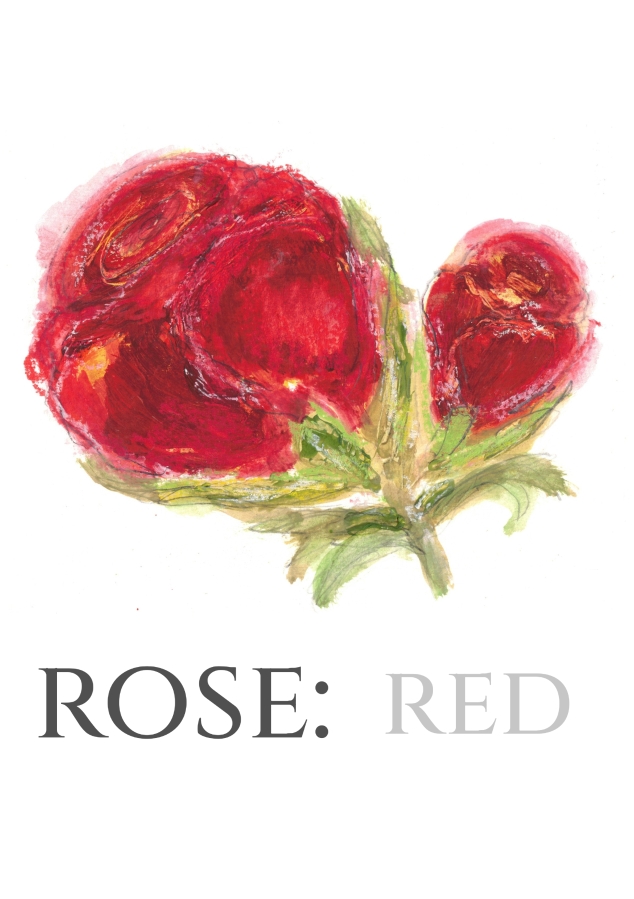 Pack of 12 Rose Red Save the Date Wedding Cards