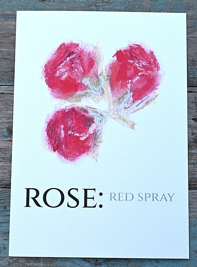 Pack of 12 Spray Rose Red Save the Date Wedding Cards