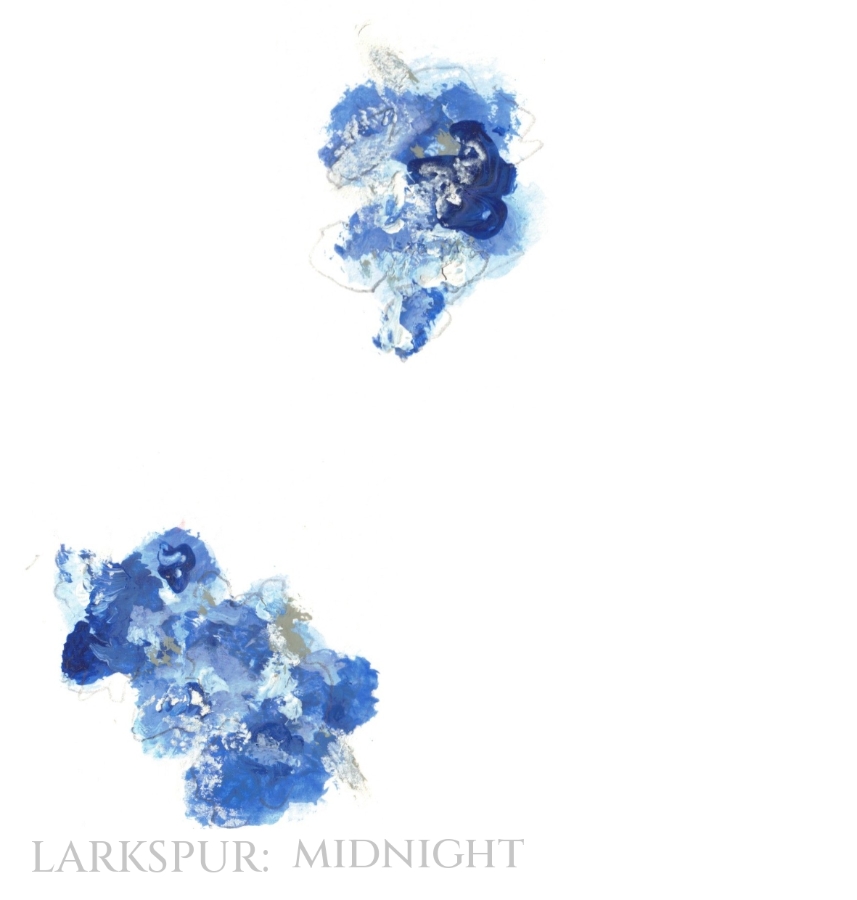 Pack of 12 Larkspur Midnight Save the Date Wedding Cards