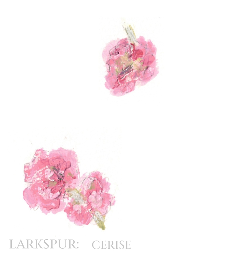 Pack of 12 Larkspur Cerise Save the Date Wedding Cards
