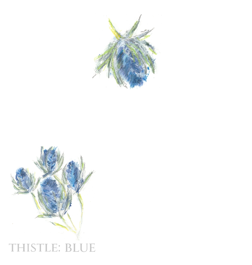 Pack of 12 Thistle Blue Save the Date Wedding Cards