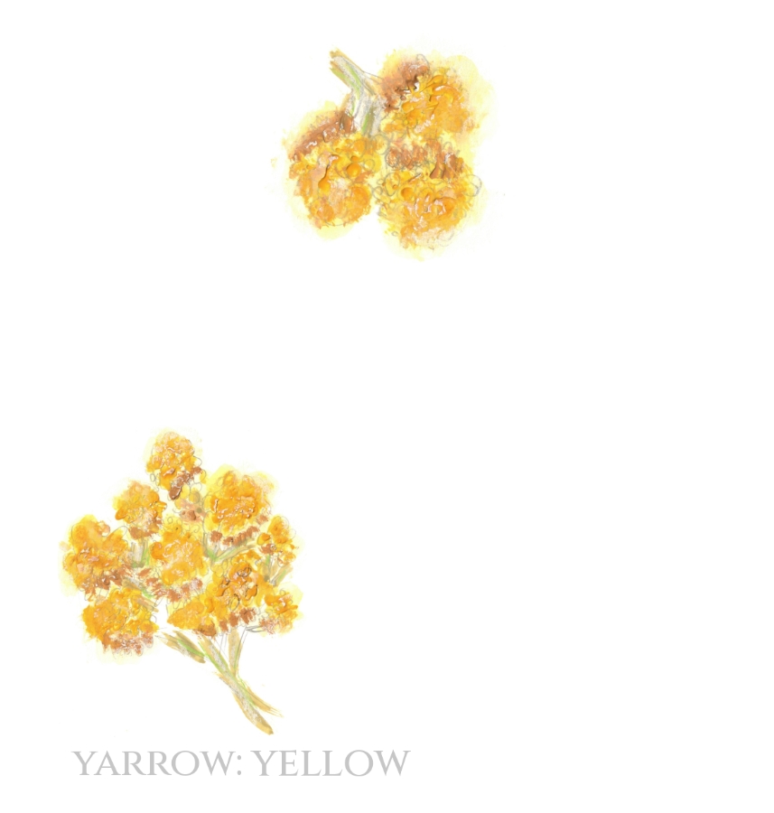 Pack of 12 Yarrow Save the Date Wedding Cards