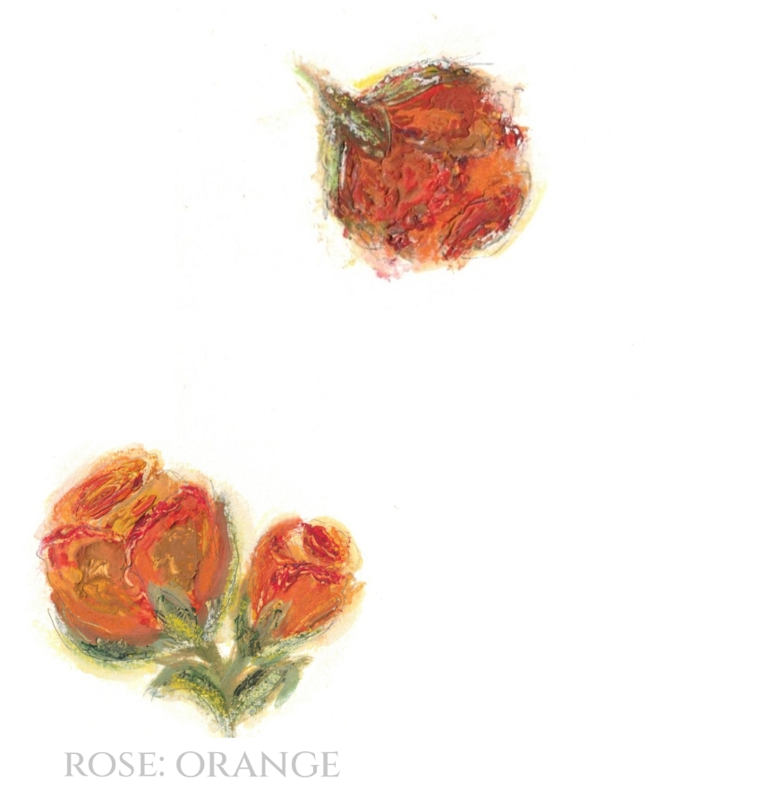 Pack of 12 Rose Orange Wedding Invitation Cards