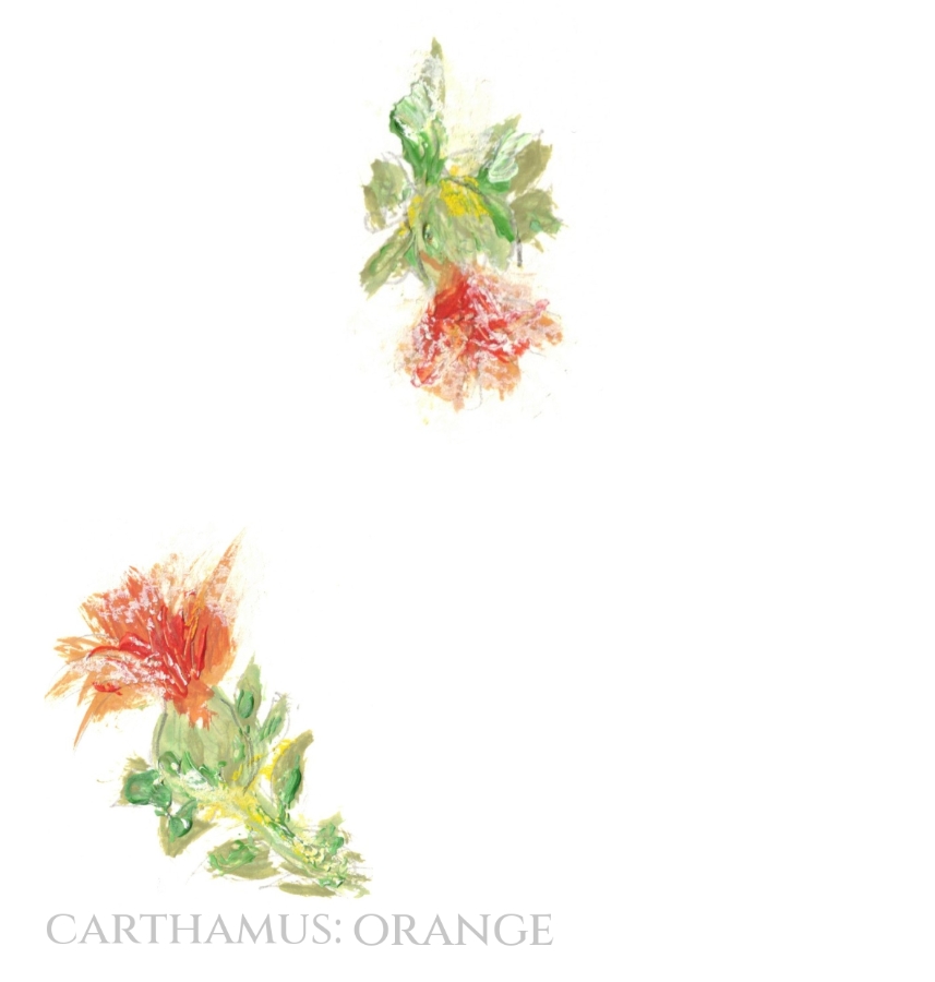 Pack of 12 Carthamus Orange Wedding Invitations