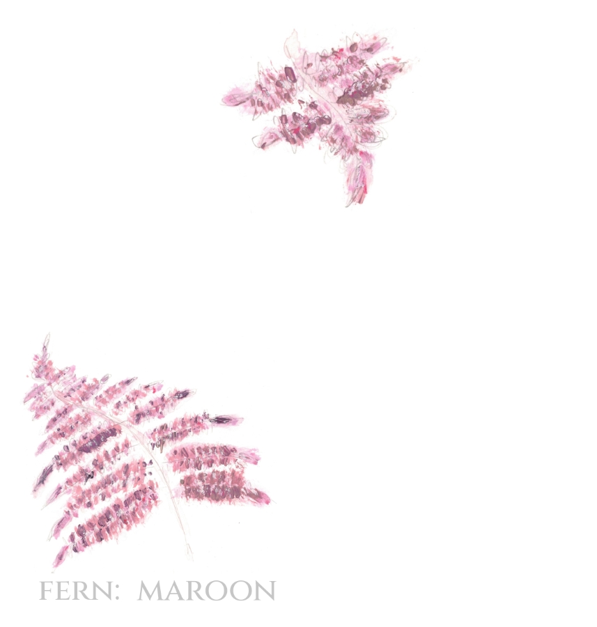 Pack of 12 Fern Red Wedding Invitations