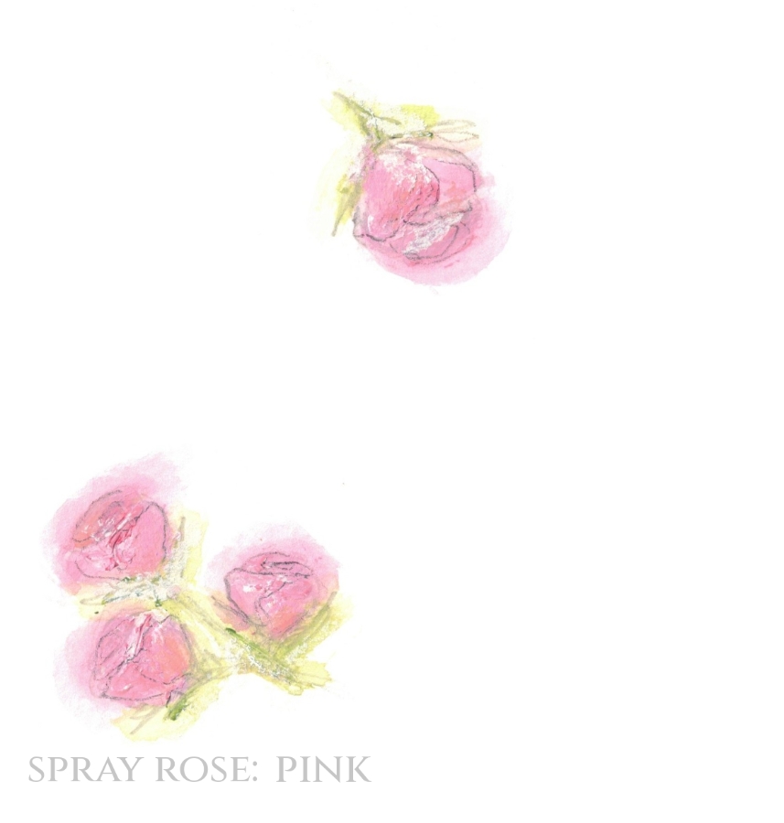 Pack of 12 Spray Rose Pink RSVP Cards