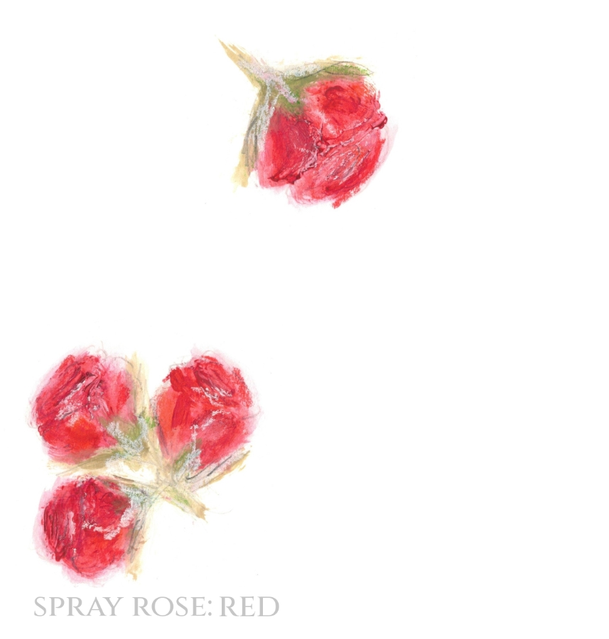 Pack of 12 Spray Rose Red RSVP Cards