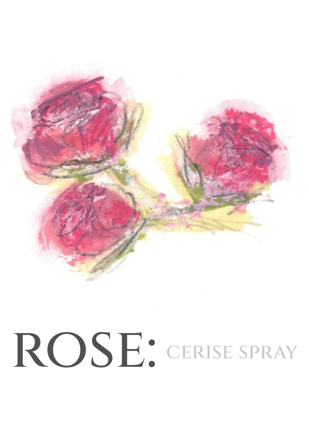 Pack of 12 Spray Rose Cerise RSVP Cards