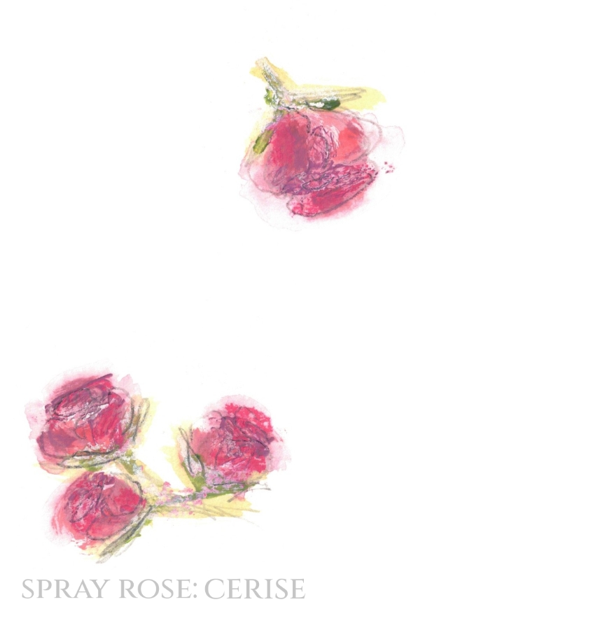 Pack of 12 Spray Rose Cerise RSVP Cards