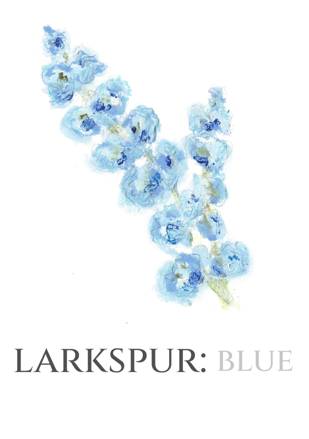 Pack of 12 Larkspur Blue RSVP Cards