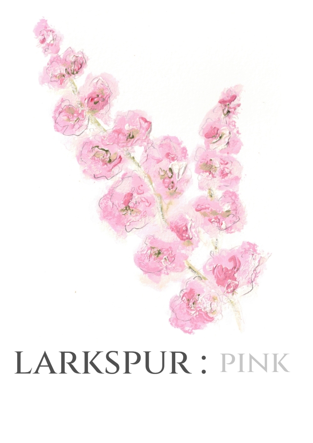 Pack of 12 Larkspur Pink RSVP Cards