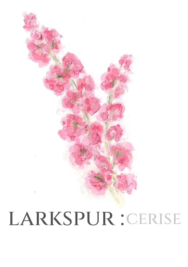 Pack of 12 Larkspur Cerise RSVP Cards