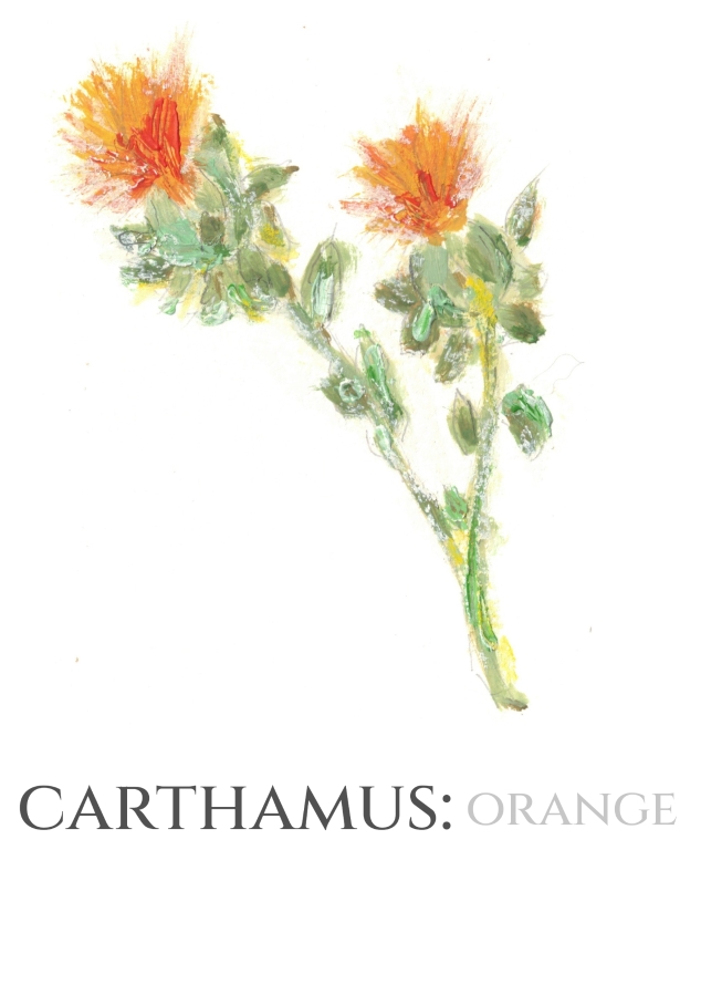 Pack of 12 Carthamus Orange RSVP Cards