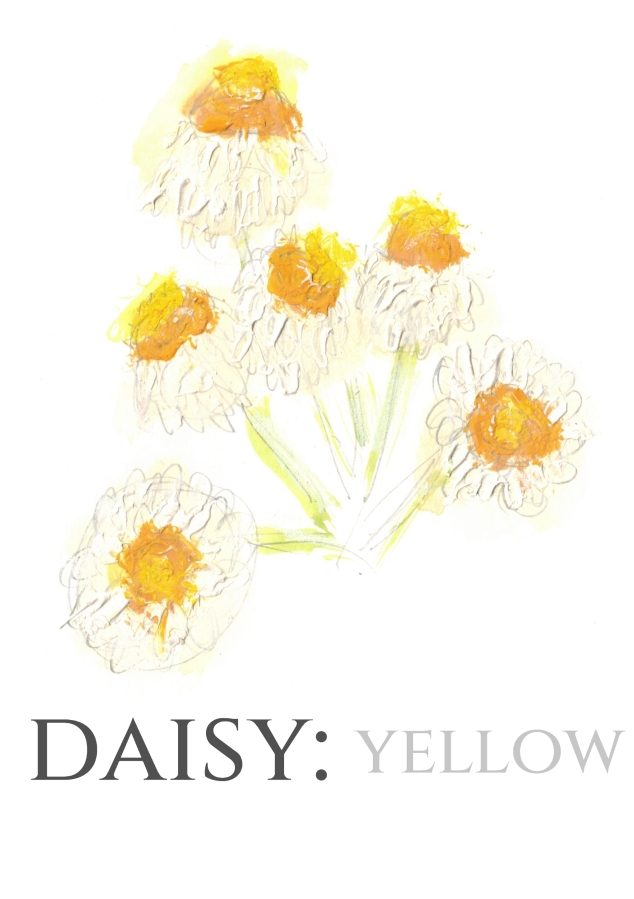 Pack of 12 Daisy Ammobium RSVP Cards