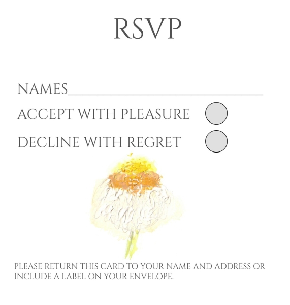 Pack of 12 Daisy Ammobium RSVP Cards