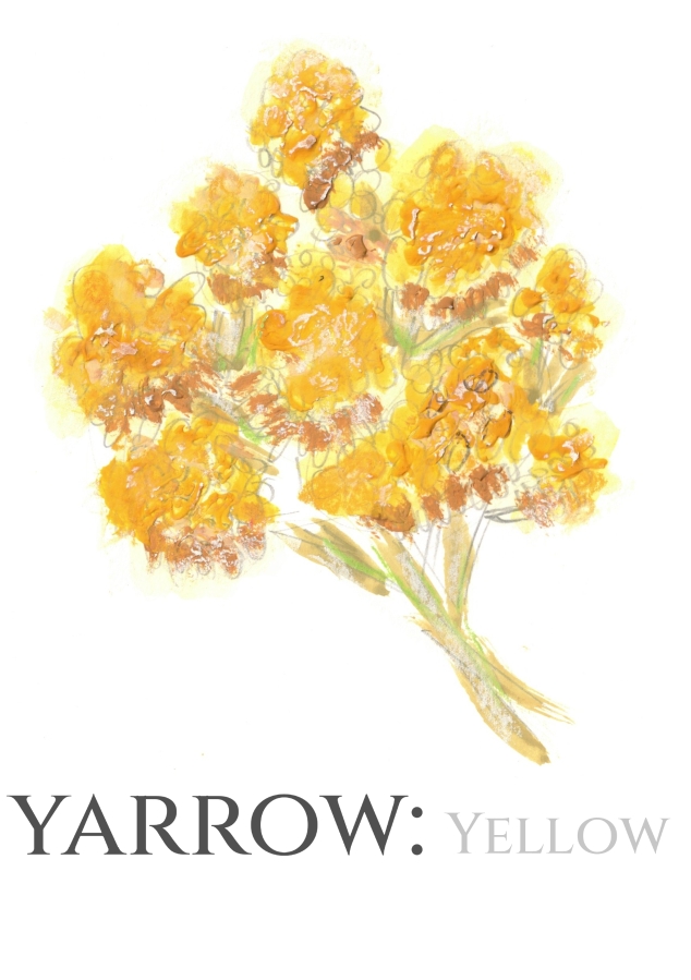 Pack of 12 Yarrow RSVP Cards