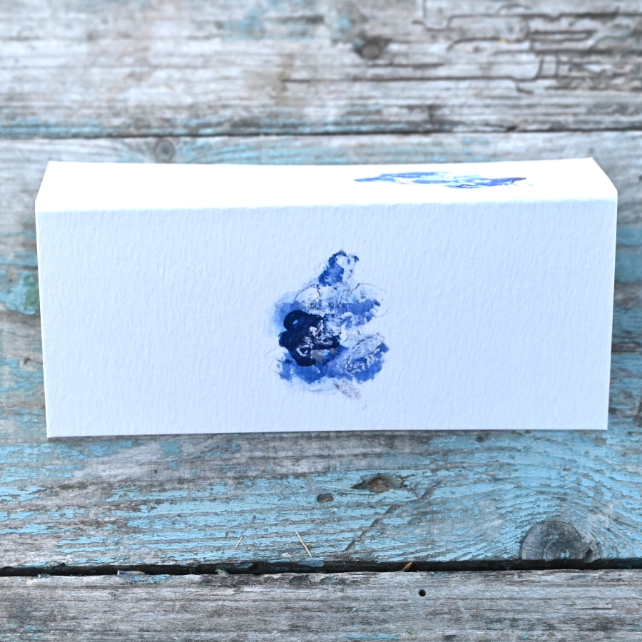 Pack of 12 Larkspur Midnight Folded Place Name Cards