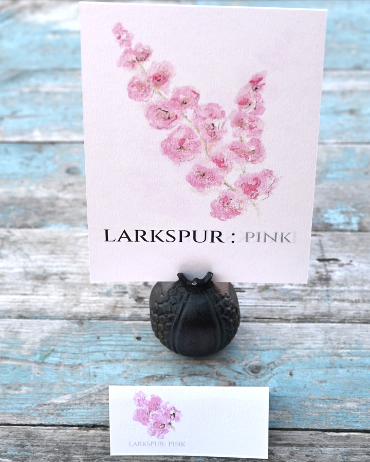 Pack of 12 Larkspur Pink Folded Place Name Cards