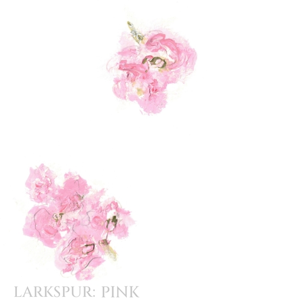 Pack of 12 Larkspur Pink Folded Place Name Cards
