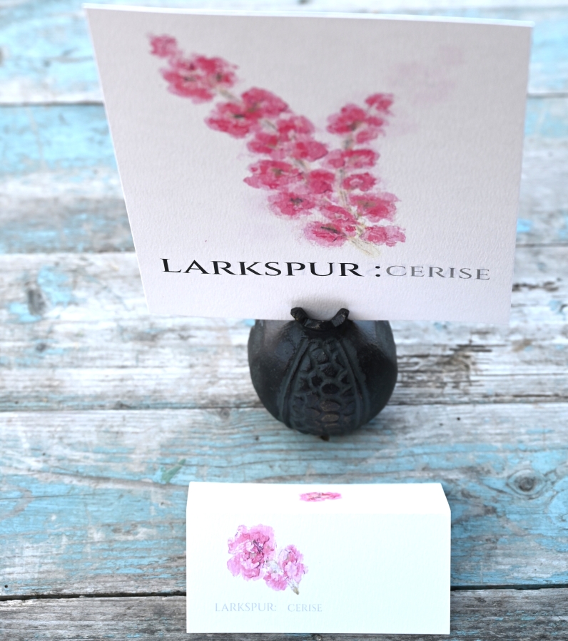 Pack of 12 Larkspur Cerise Folded Place Name Cards
