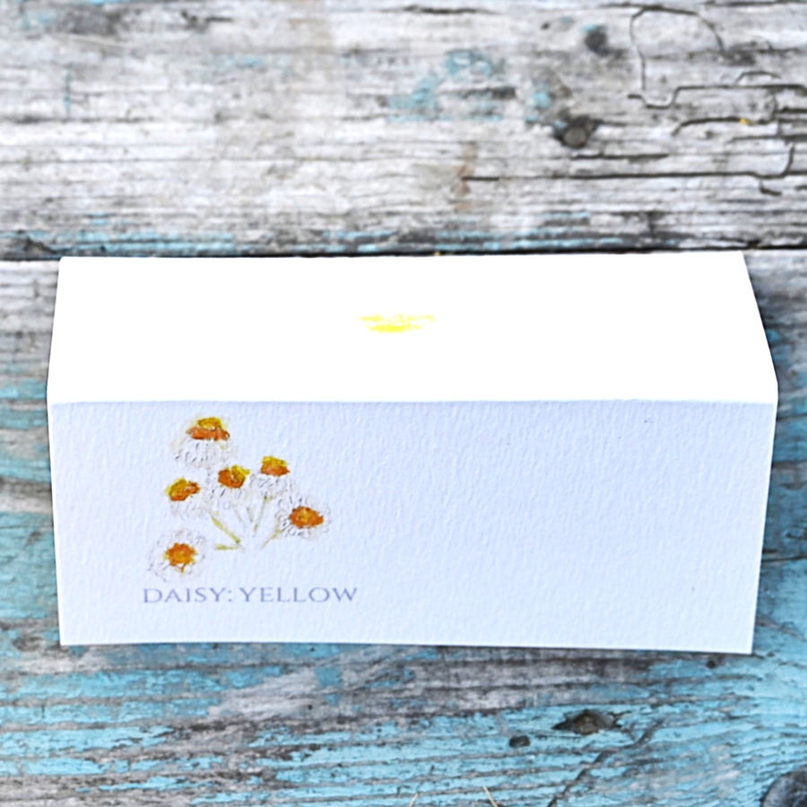 Pack of 12 Daisy Ammobium Folded Place Name Cards
