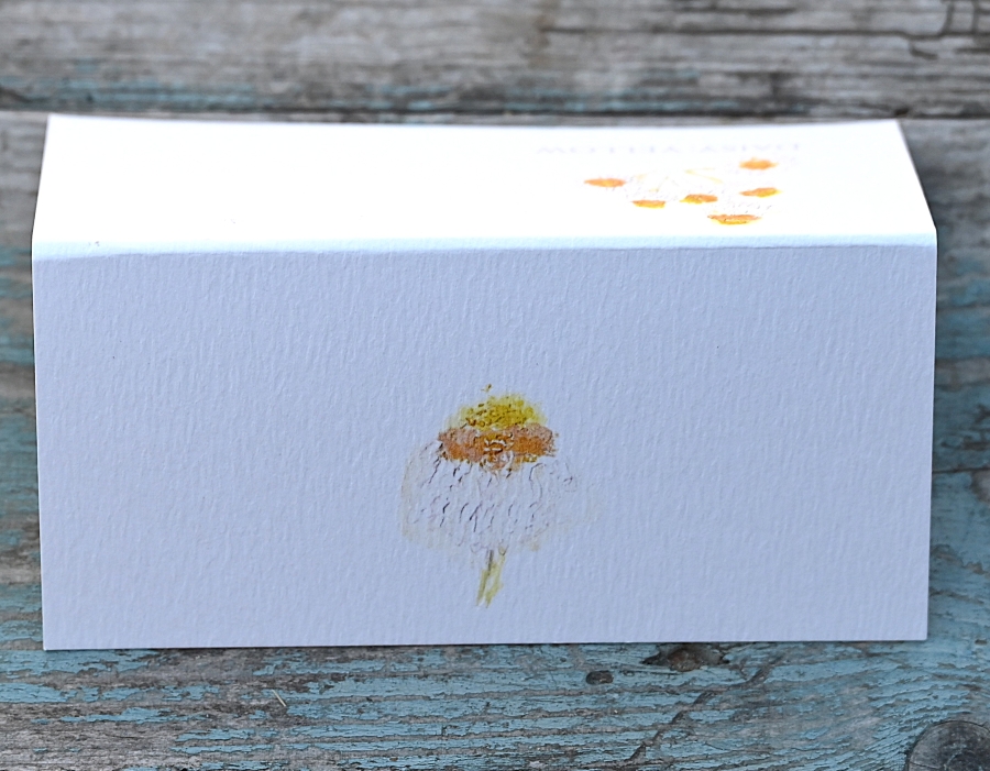 Pack of 12 Daisy Ammobium Folded Place Name Cards