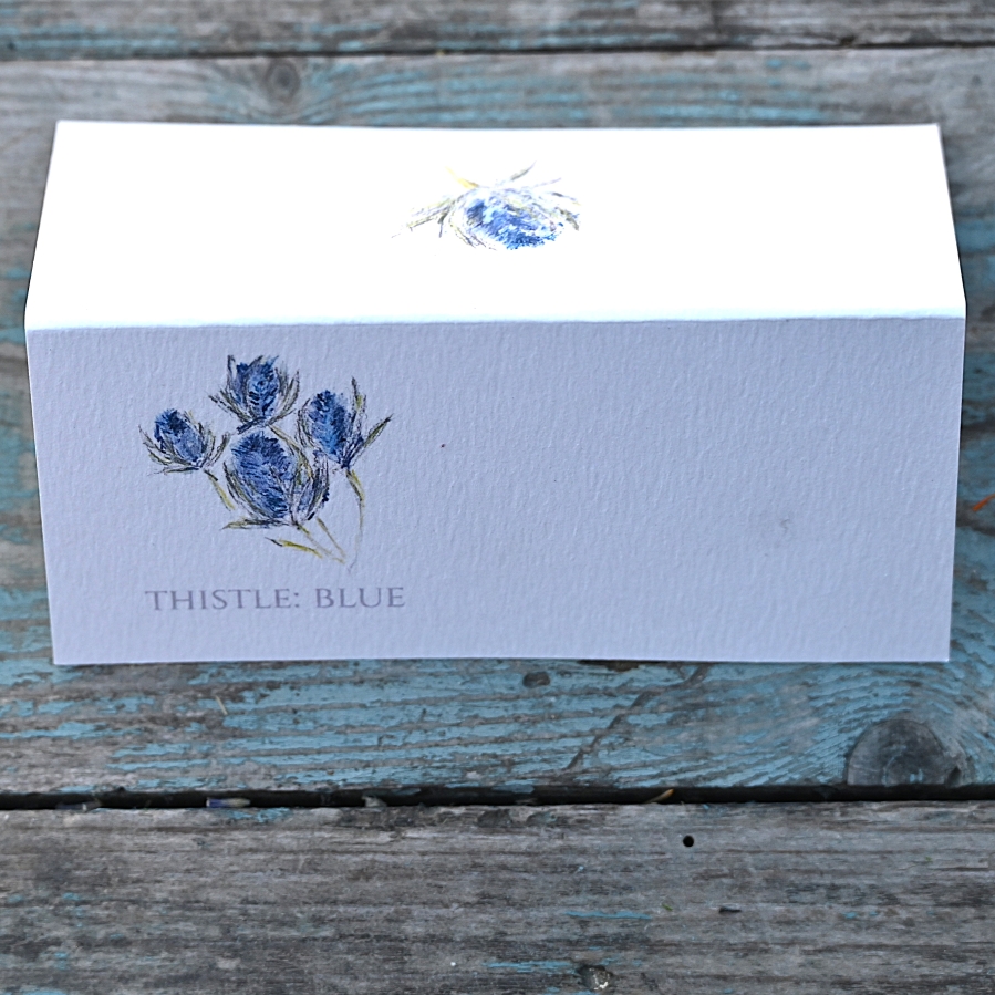 Pack of 12 Thistle Blue Folded Place Name Card
