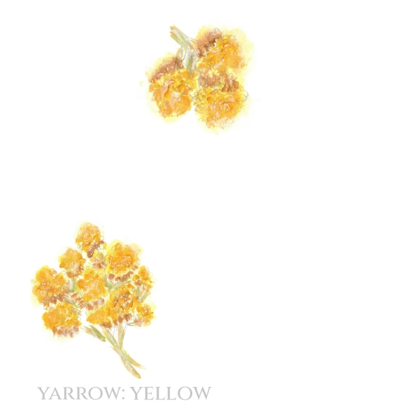 Pack of 12 Yarrow Folded Place Name Cards