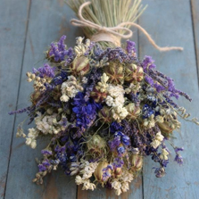 Blues and Purples