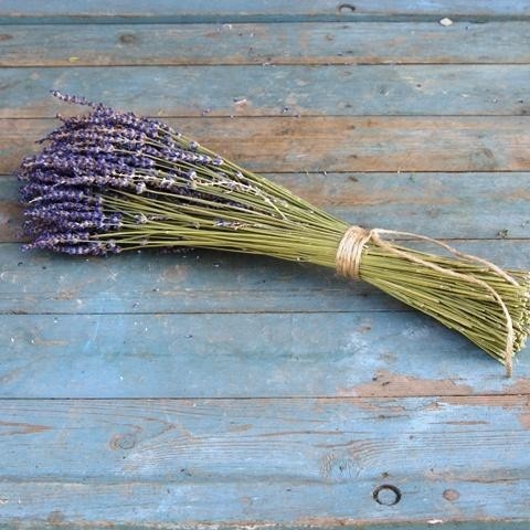 Dried lavender Bunches