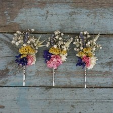 Festival Meadow Hair Grips Set of 3