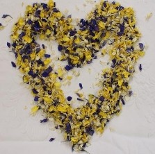 Boho Yellow Blues Natural Petals