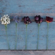 Burgundy Dried Flower Wired Stems Set of 5