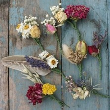 Burgundy Dried Flower Wired Stems Set of 5