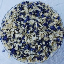 Boho Midnight Natural Petals