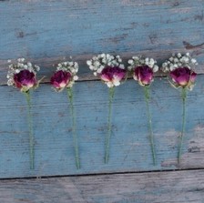 Babys Breath Cerise Rose Dried Flower Wired Stems Set of 5