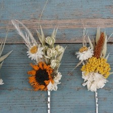 Sunflower Prairie Hair Grips Set of 3