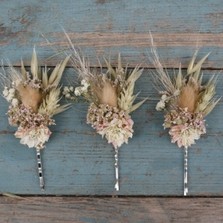 Pampas Prairie Blush Hair Grips Set of 3