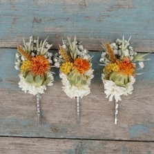 Sunset Rose Garden Hair Grip Set of 3