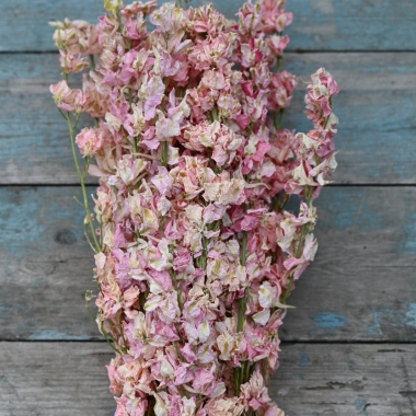 Pampas Boho Blossom Jam Jar Posy