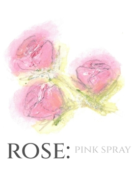 Pack of 12 Spray Rose Pink Save the Date Wedding Cards