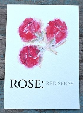Pack of 12 Spray Rose Red Save the Date Wedding Cards