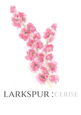 Pack of 12 Larkspur Cerise Save the Date Wedding Cards