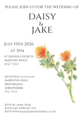 Pack of 12 Carthamus Orange Save the Date Wedding Cards