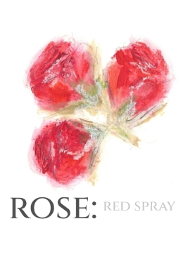 Pack of 12 Spray Rose Red Wedding Invitations