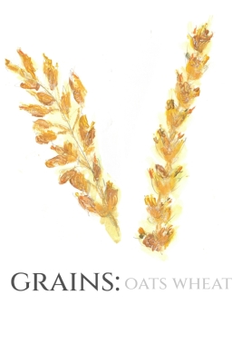 Pack of 12 Grains Wheat Oats Wedding Invitations