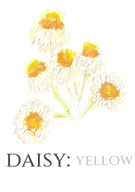 Pack of 12 Daisy Ammobium Wedding Invitations