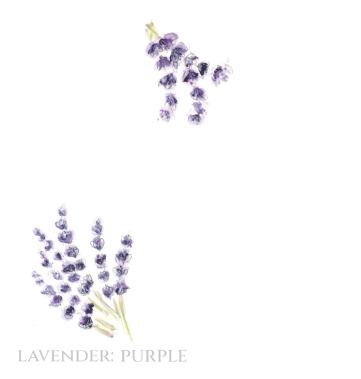 Pack of 12 Lavender Wedding Invitations